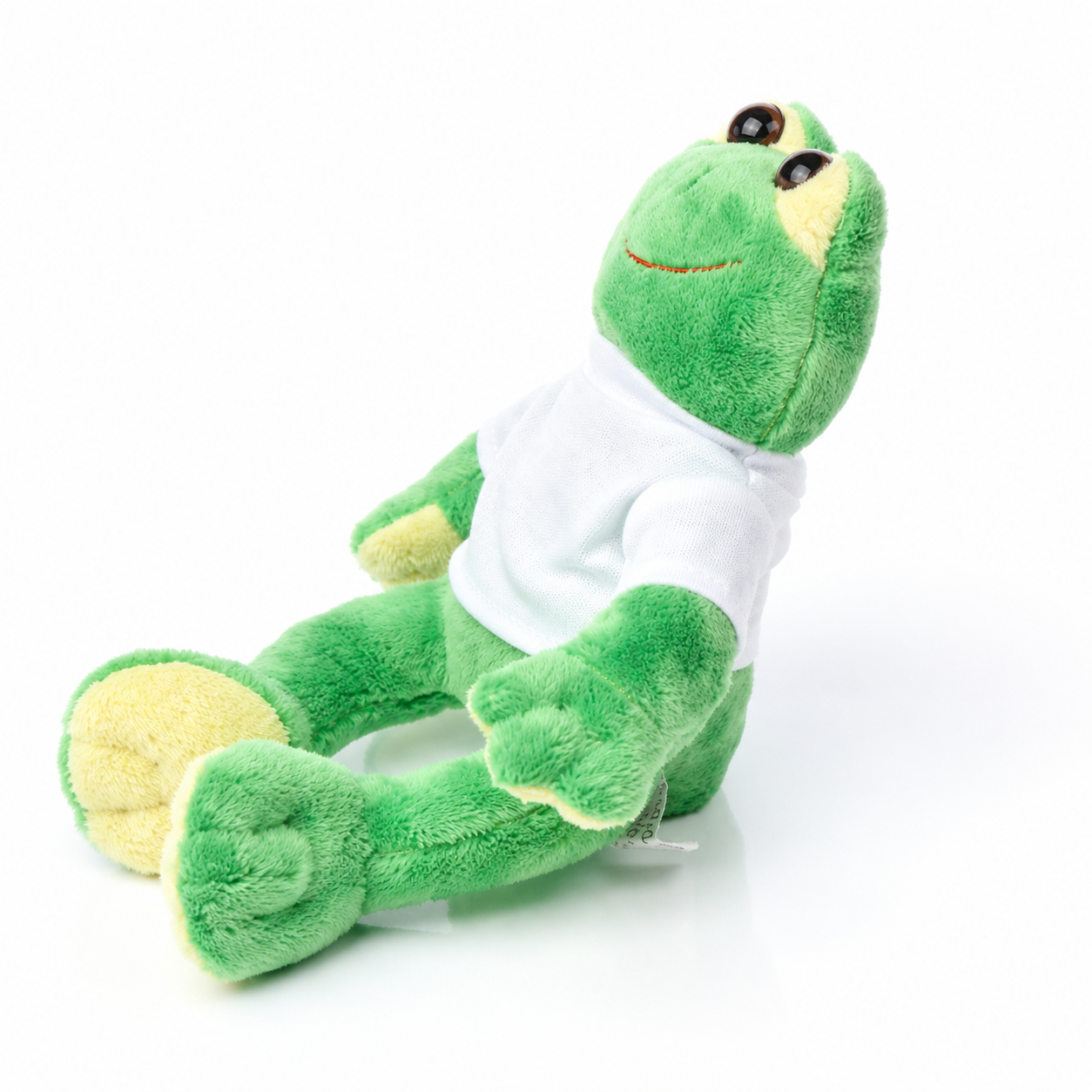 Kuscheltier Frosch mit T-Shirt und Eisenbahnmotiv